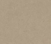 Кварцевый камень Caesarstone, цвет 2350 Latte, глянцевый, 3050x1440x20 мм