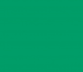 Пленка транслюцентная ORACAL 8500, цвет 009 средне-зеленый