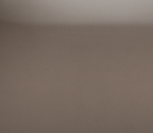 Кварцевый камень Silestone, цвет Noka, 3030x1370x20 мм