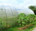 Теплицы из поликарбоната М-Агро