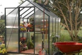 Топ-7 наиболее распространенных заблуждений о сотовом поликарбонате для теплиц Топ-7 наиболее распространенных заблуждений о сотовом поликарбонате для теплиц