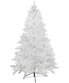 Ель белая, 2,2 м