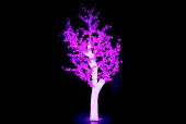 Светодиодное акриловое дерево Баухиния пурпурное (лиловое/фиолетовое), 2,2 м