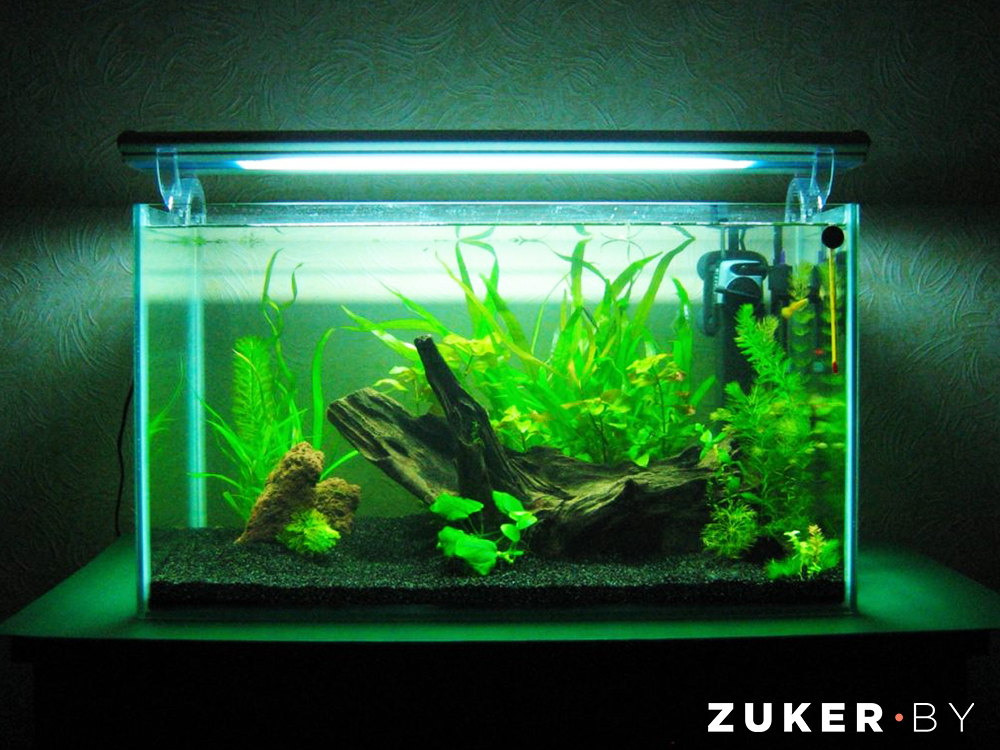 Как сделать аквариум в домашних условиях