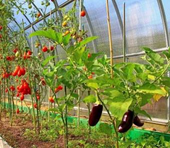 Теплица М-Агро Плюс 3x6м (шаг 0,67м, 20x20 см, 4 мм, 0.50 кг/м2), комплект с профилем