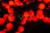 Световая гирлянда "Шарики" красная, 48 мм, 10 метров