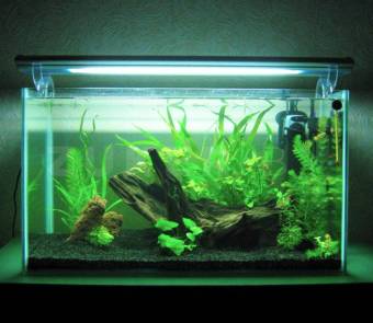 Оргстекло прозрачное Plexiglas XT, 4 мм, 2050х3050 мм