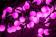 Световая гирлянда "Шарики" розовая, 23 мм, 10 метров
