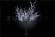 Светодиодное дерево Вишня белое, 1.8 м