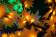 Светодиодное дерево Клён, цвет красный, 2,1х1,8 м, 500 светодиодов